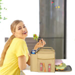 best-picnic-lunch-bag
