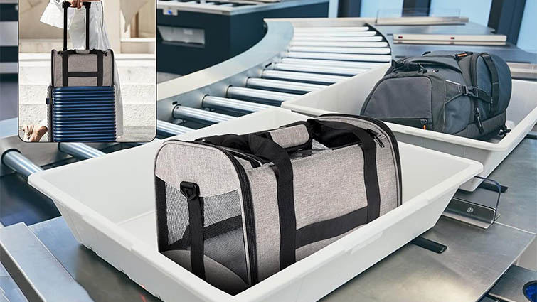 best-portable-cat-carrier
