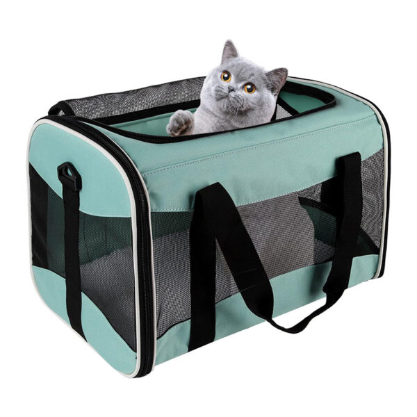 cat-travel-carrier