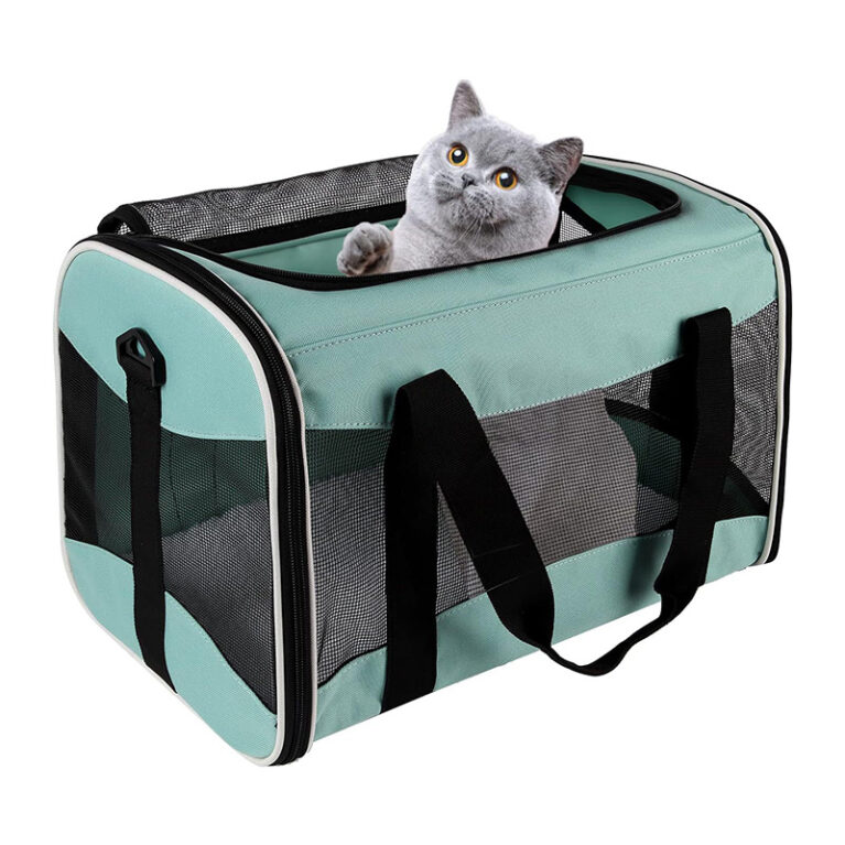 cat-travel-carrier